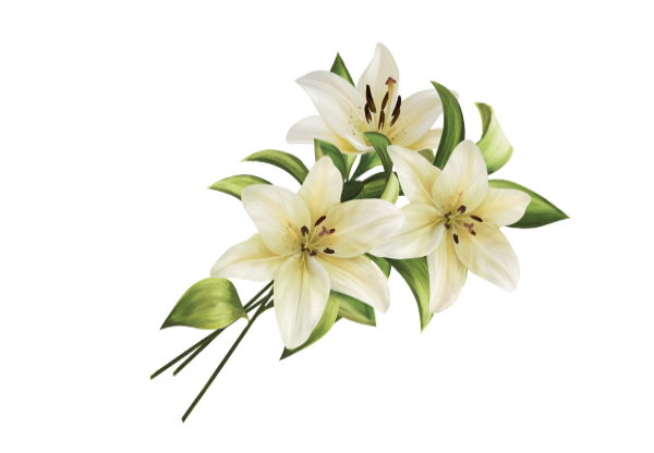 a bunch of whitel lillies